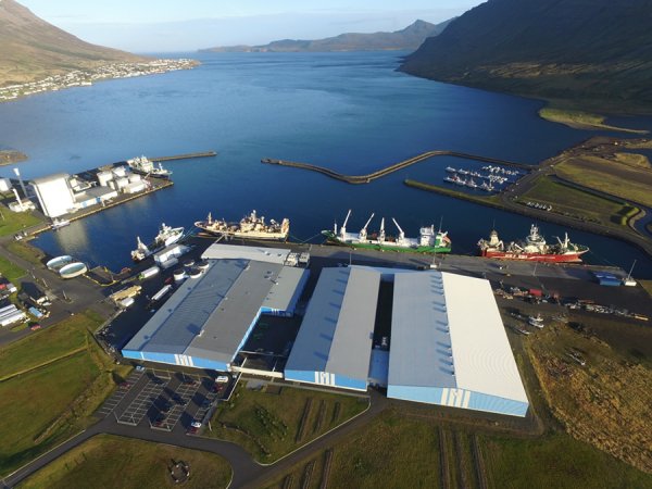 Iceland’s Fishing and Processing Industry Profit Margins Decline in 2023